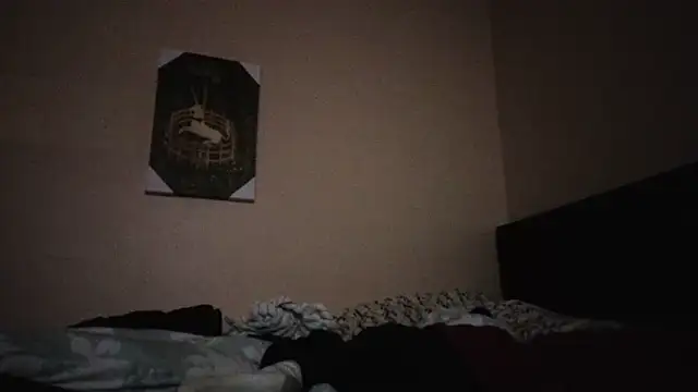 Snapshot of hailzeffn chatting on November 3, 2025, 11:19 pm hailzeffn online show from November 3, 2025, 11:19 pm