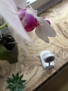 Barkeepermic online show from September 27, 2025, 5:46 am