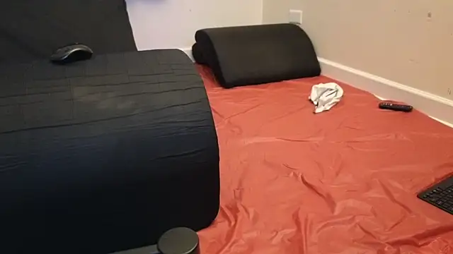 Snapshot of pantslesstraveler_plt chatting on February 3, 2025, 1:52 am pantslesstraveler plt online show from February 3, 2025, 1:52 am