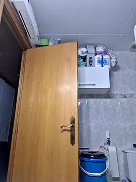 Javier bear online show from February 23, 2026, 2:06 pm