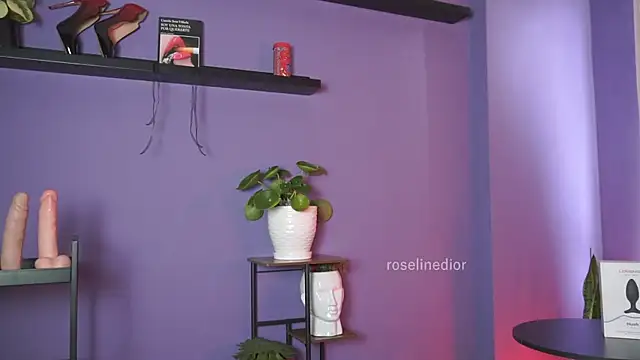 roselinedior online show from May 19, 2026, 2:46 pm