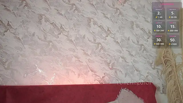 roselinedior online show from November 20, 2025, 2:18 pm