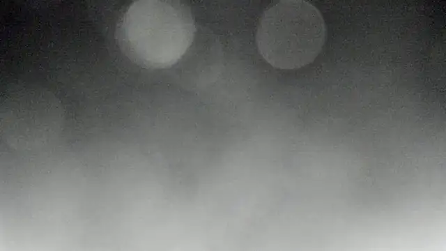 Bitch Coin online show from November 10, 2025, 4:23 pm