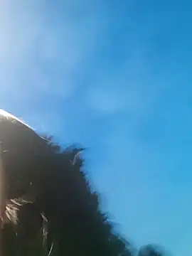 Wanda and cosmo  online show from March 3, 2025, 11:35 pm