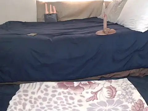 Snapshot of AdelaideT chatting on November 11, 2025, 6:41 am AdelaideT online show from November 11, 2025, 6:41 am