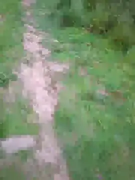 FreezingTie850 online show from May 27, 2026, 8:16 pm