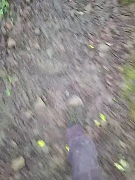 FreezingTie850 online show from March 9, 2026, 1:14 pm