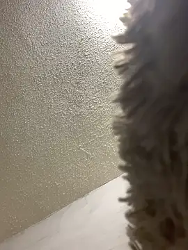 Snapshot of talitasilvx chatting on March 18, 2025, 11:09 pm talitasilvx online show from March 18, 2025, 11:09 pm