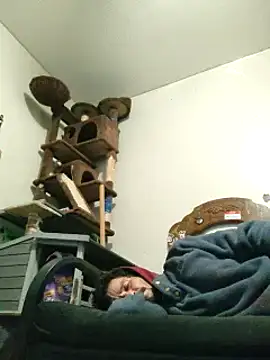 Snapshot of LongDickZee562 chatting on January 31, 2025, 9:16 am LongDickZee562 online show from January 31, 2025, 9:16 am