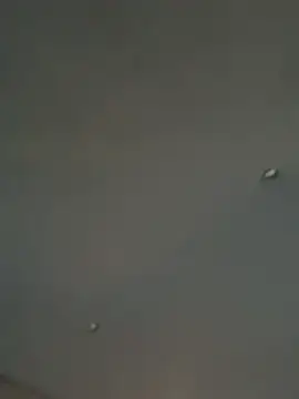 Snapshot of Onesieboy4daddys chatting on May 15, 2026, 11:14 pm Onesieboy4daddys online show from May 15, 2026, 11:14 pm