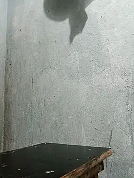 Sergipano fogozinho online show from December 5, 2025, 1:49 am