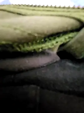 Snapshot of thesmiledoc chatting on February 10, 2025, 2:48 pm thesmiledoc online show from February 10, 2025, 2:48 pm