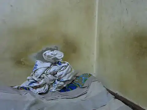 swthairydic online show from March 17, 2025, 9:44 am