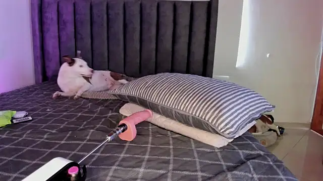 Snapshot of paulina_soto chatting on April 5, 2026, 8:04 pm paulina soto online show from April 5, 2026, 8:04 pm