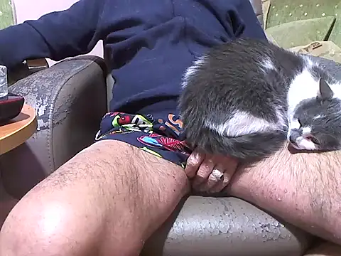 zormen355 online show from April 8, 2026, 7:48 pm