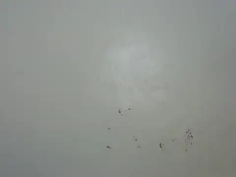 Rasta tattooed online show from February 6, 2026, 10:50 pm