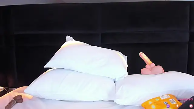 Snapshot of MiaStor chatting on January 29, 2025, 8:46 pm MiaStor online show from January 29, 2025, 8:46 pm