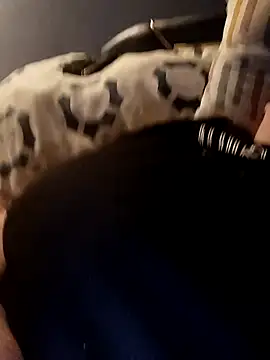 Snapshot of poussychats chatting on January 4, 2025, 4:43 pm poussychats online show from January 4, 2025, 4:43 pm