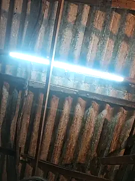 HotSexyBoudi online show from December 17, 2025, 9:03 am