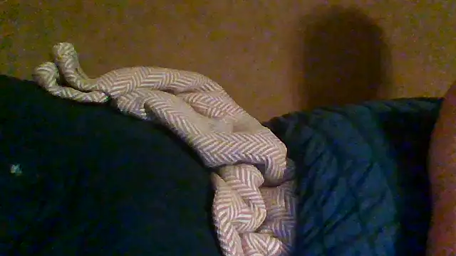 Snapshot of trash4cash chatting on October 31, 2025, 2:19 am trash4cash online show from October 31, 2025, 2:19 am