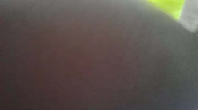 Snapshot of Chitrani- chatting on January 16, 2025, 9:37 am Chitrani- online show from January 16, 2025, 9:37 am