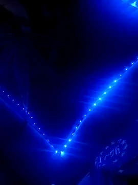 ySqmbVanbe online show from February 11, 2026, 9:53 am