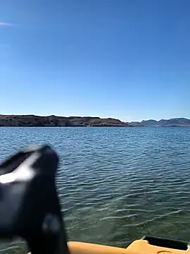 FloppyPickle4u online show from March 8, 2026, 3:59 pm