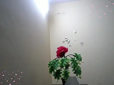 Snapshot of Arushisingh8888 chatting on December 18, 2025, 11:36 am Arushisingh8888 online show from December 18, 2025, 11:36 am