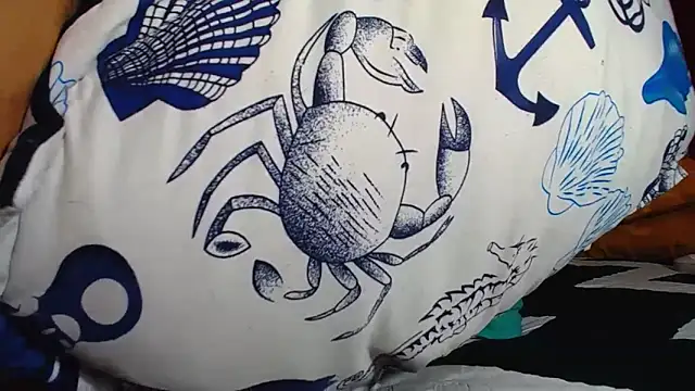 Jhhan234 online show from October 27, 2025, 9:27 pm