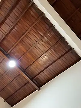 Snapshot of emiss_ chatting on February 1, 2026, 2:37 pm emiss online show from February 1, 2026, 2:37 pm