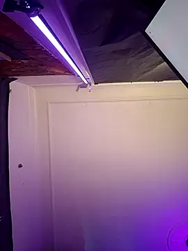 Tony Torrente online show from March 17, 2026, 7:55 am