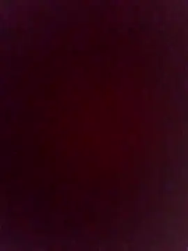Snapshot of fickmonster2024 chatting on April 23, 2026, 4:41 pm fickmonster2024 online show from April 23, 2026, 4:41 pm