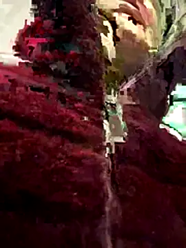 casalinga88 online show from December 16, 2025, 7:01 am