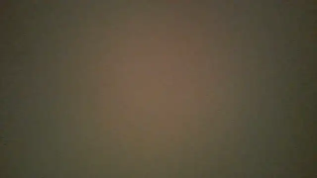 lovense test04 online show from October 21, 2025, 9:41 am