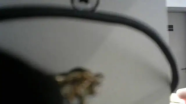 lovense test04 online show from September 19, 2025, 9:57 am