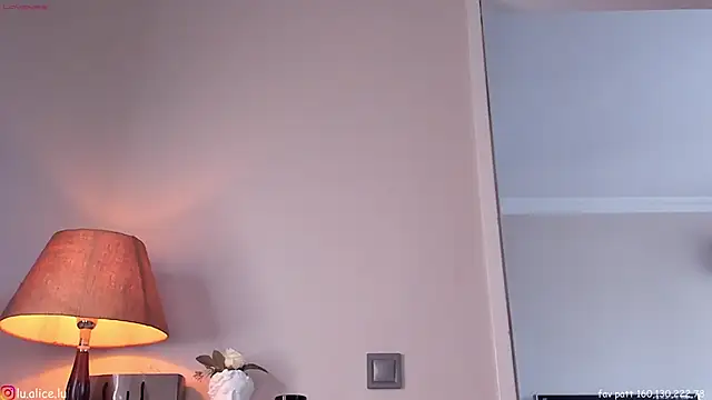 Snapshot of alicelu_ chatting on January 21, 2025, 7:58 am alicelu online show from January 21, 2025, 7:58 am