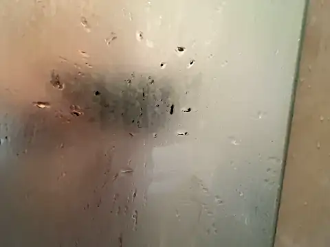 shiro 3 online show from February 21, 2026, 4:47 am