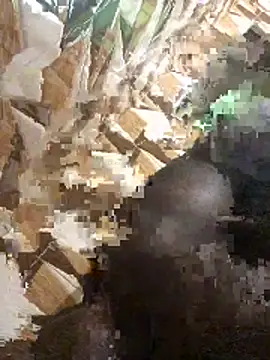 Snapshot of BigBrotherFreak chatting on November 27, 2025, 3:45 pm BigBrotherFreak online show from November 27, 2025, 3:45 pm