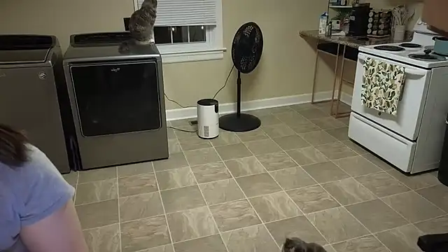 Snapshot of sexylilly69 chatting on September 25, 2025, 12:49 am sexylilly69 online show from September 25, 2025, 12:49 am