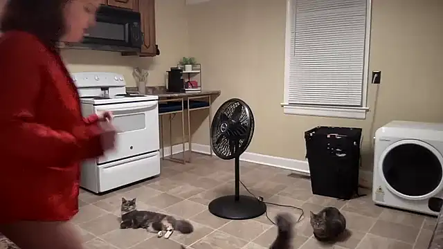 Snapshot of sexylilly69 chatting on March 3, 2025, 1:28 am sexylilly69 online show from March 3, 2025, 1:28 am