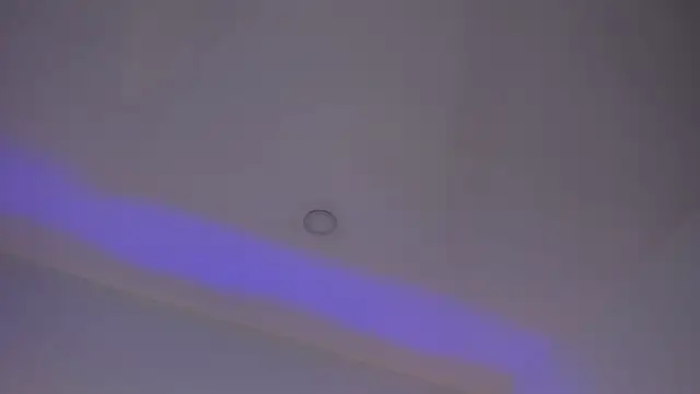 Mara Betancurt online show from March 2, 2025, 3:24 am