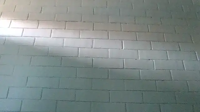 Snapshot of GiveLove1 chatting on February 19, 2025, 9:36 pm GiveLove1 online show from February 19, 2025, 9:36 pm