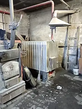 MityaXLoves online show from December 22, 2025, 6:52 pm