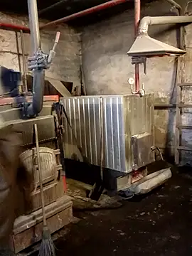 MityaXLoves online show from January 11, 2026, 6:42 am