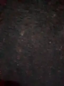 Snapshot of Rozittaa chatting on November 9, 2025, 5:17 pm Rozittaa online show from November 9, 2025, 5:17 pm