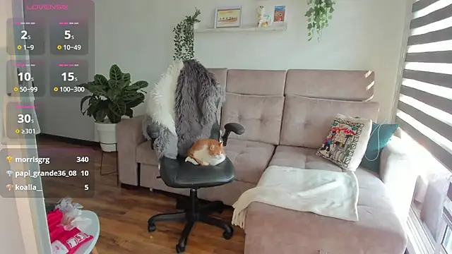 Arya 33 online show from February 26, 2025, 9:31 pm