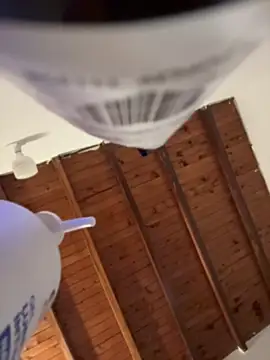 Miss-Abbii online show from April 12, 2026, 3:26 pm