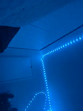 BBW2320 online show from November 6, 2025, 5:11 am