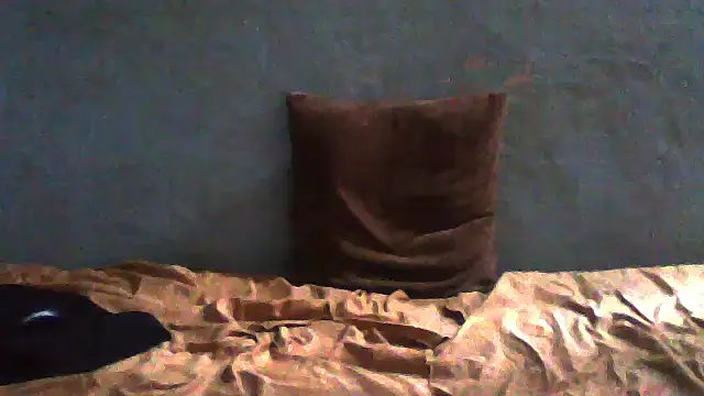 Snapshot of little__joy chatting on May 1, 2026, 10:31 am little joy online show from May 1, 2026, 10:31 am