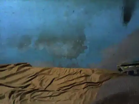 Snapshot of little__joy chatting on March 1, 2025, 2:37 am little joy online show from March 1, 2025, 2:37 am